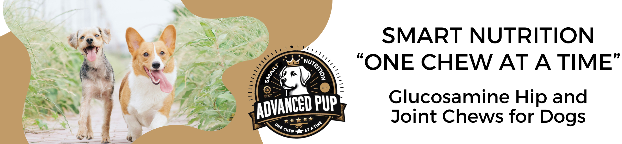 Logo for AdvancedPUP