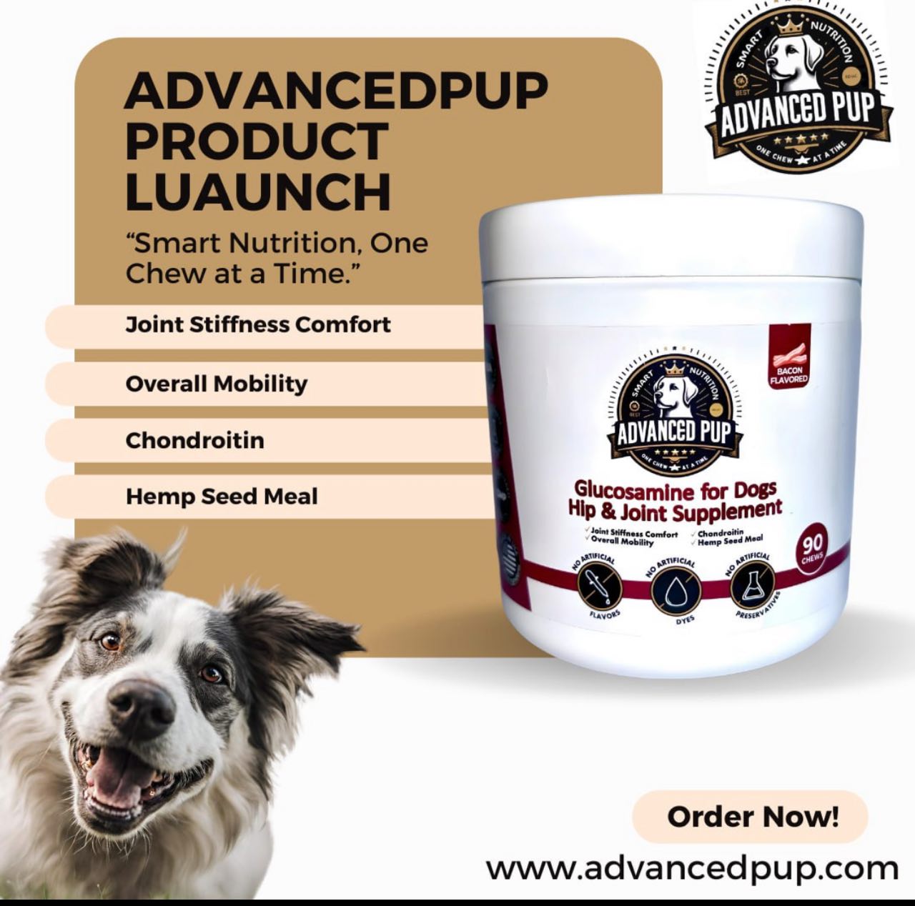 Read more about the article AdvancedPUP Launch is LIVE