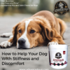 How To Help Your Dog With Stiffness and Discomfort
