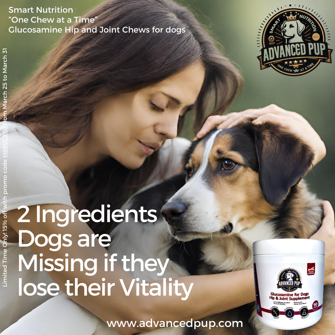 Thumbnail for the post titled: 2 Ingredients Dogs may be Missing if they Lose their Vitality