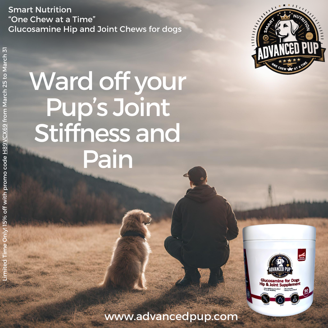 Thumbnail for the post titled: Ward off Your Pup’s Joint Stiffness and Pain