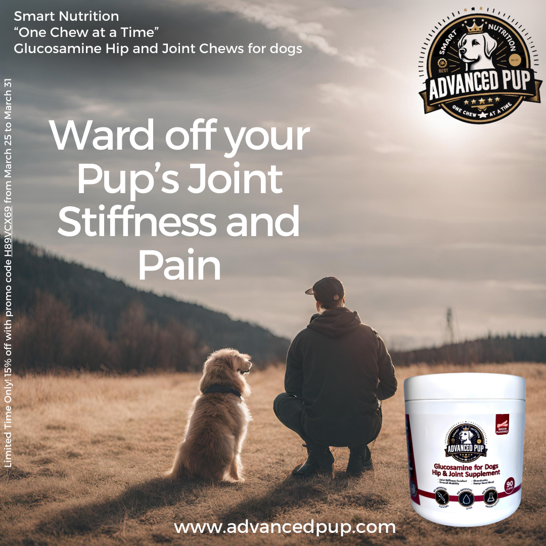 Read more about the article Ward off Your Pup’s Joint Stiffness and Pain