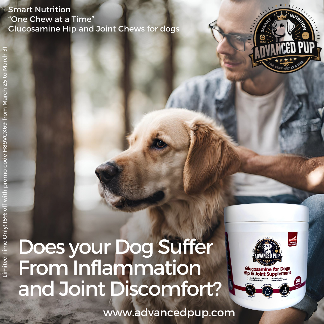 Thumbnail for the post titled: Does your Dog Suffer From Inflammation and Joint Discomfort?