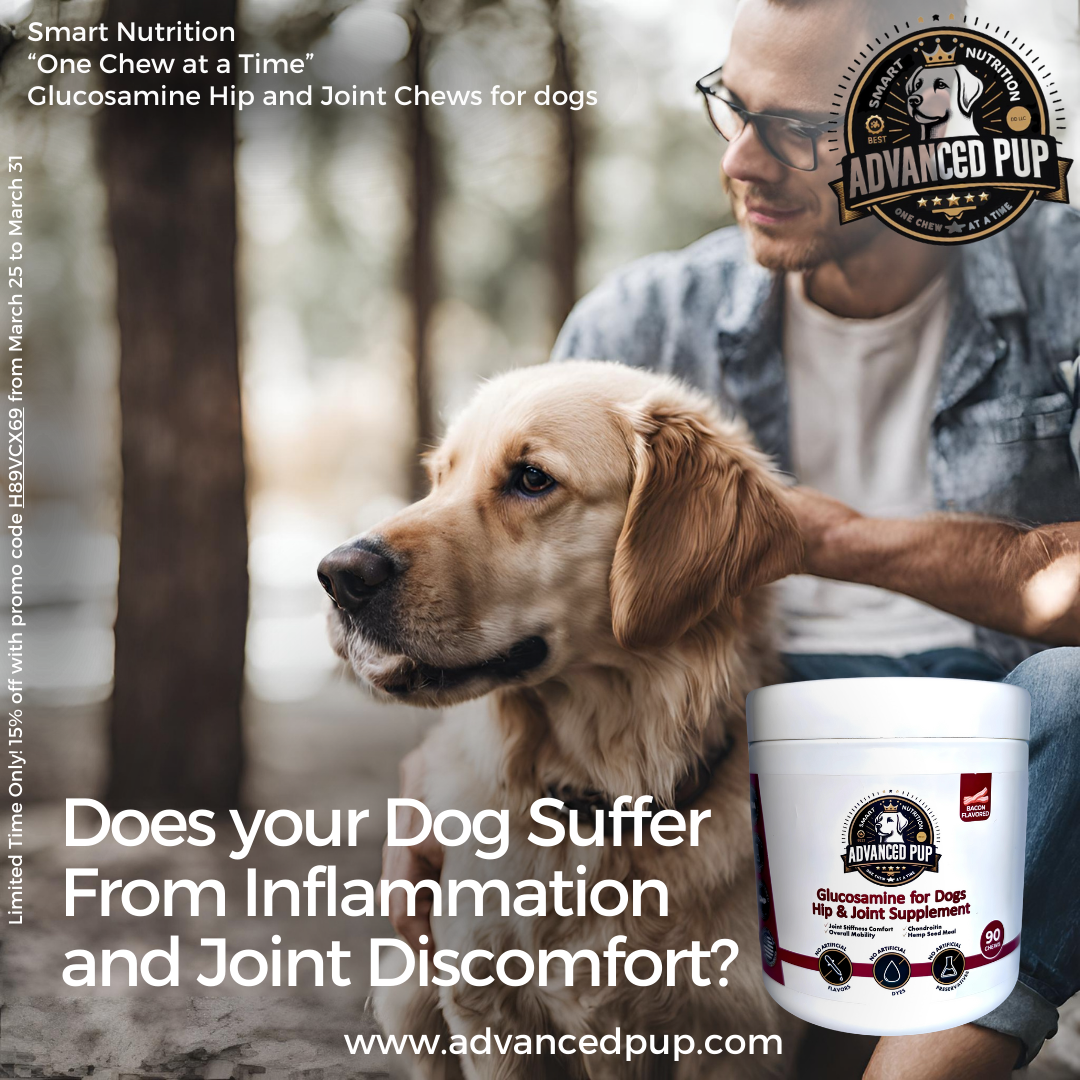 Read more about the article Does your Dog Suffer From Inflammation and Joint Discomfort?