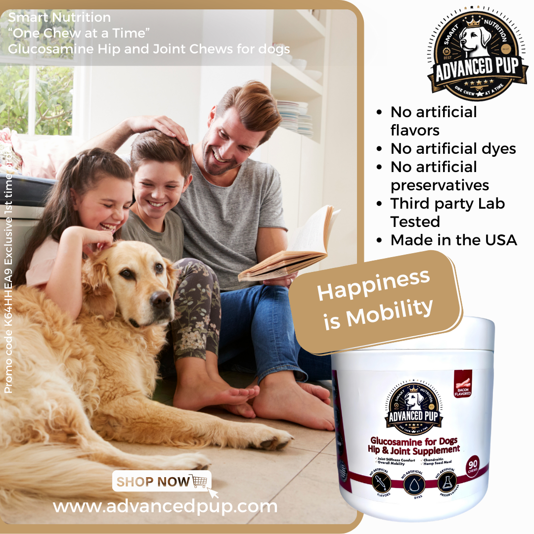 Read more about the article Why Manufacturing Quality to Improve Your Pup’s Mobility Matters